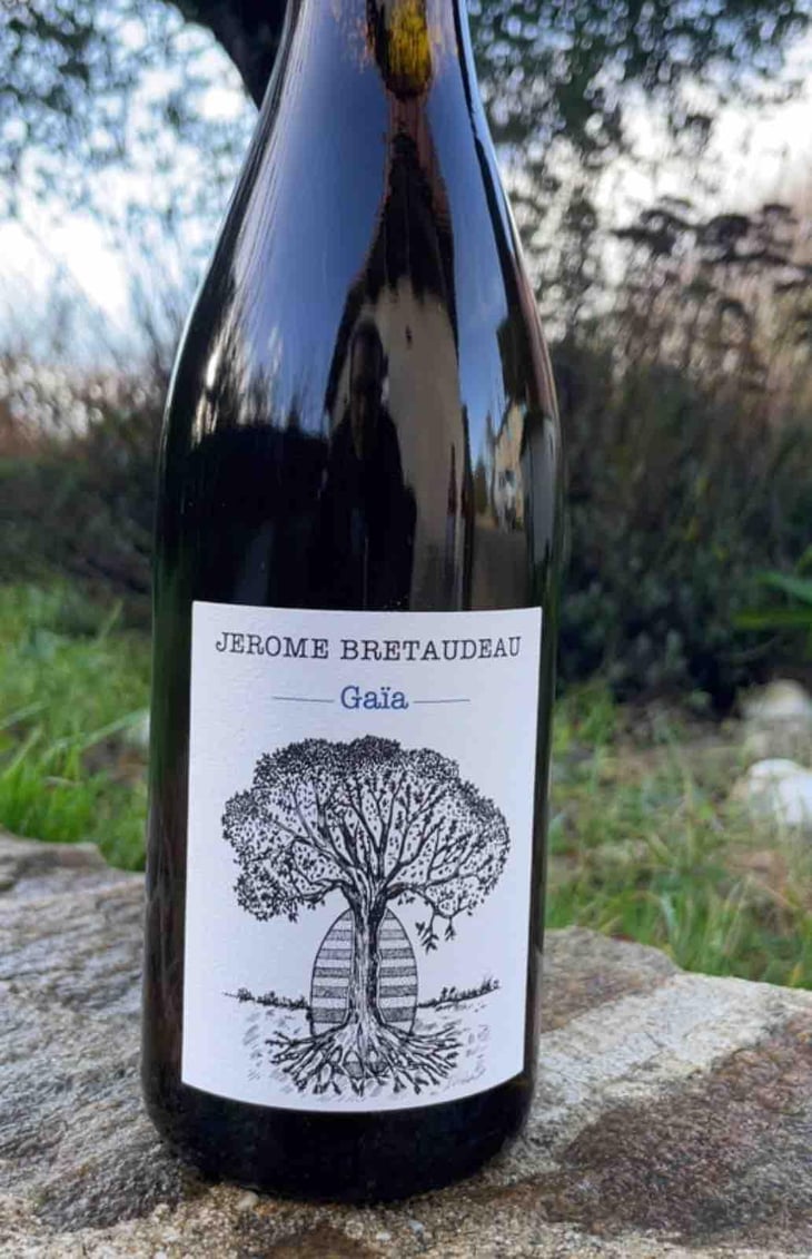 Gaïa - Domaine de Bellevue - Jérôme Bretaudeau 