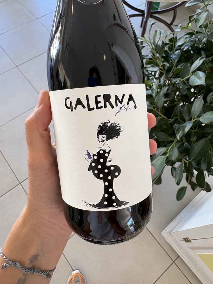 Galerna Fuse Tinto - Tejo - João Barbosa -2021