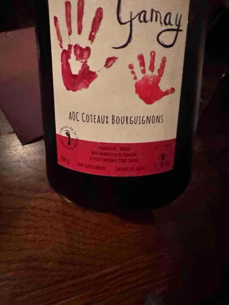 Gamay - Sylvain Bock - Brice Fortunato -2022