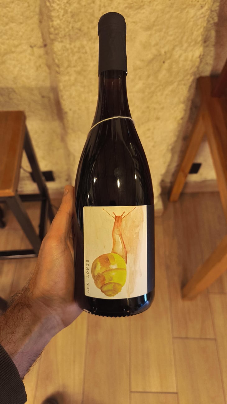 Gamay - Domaine des Longs - Axel Glesser -2023