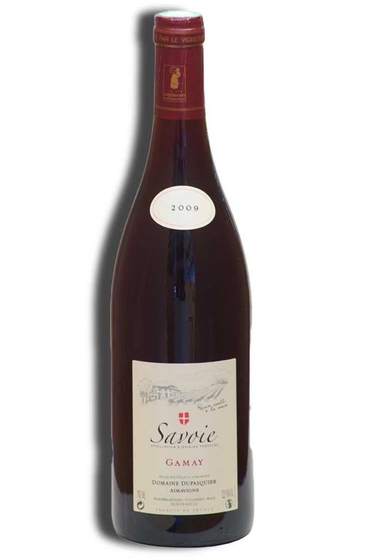 Gamay - Domaine de Trivel - Sidonie Joggerst & Thomas Guillon 