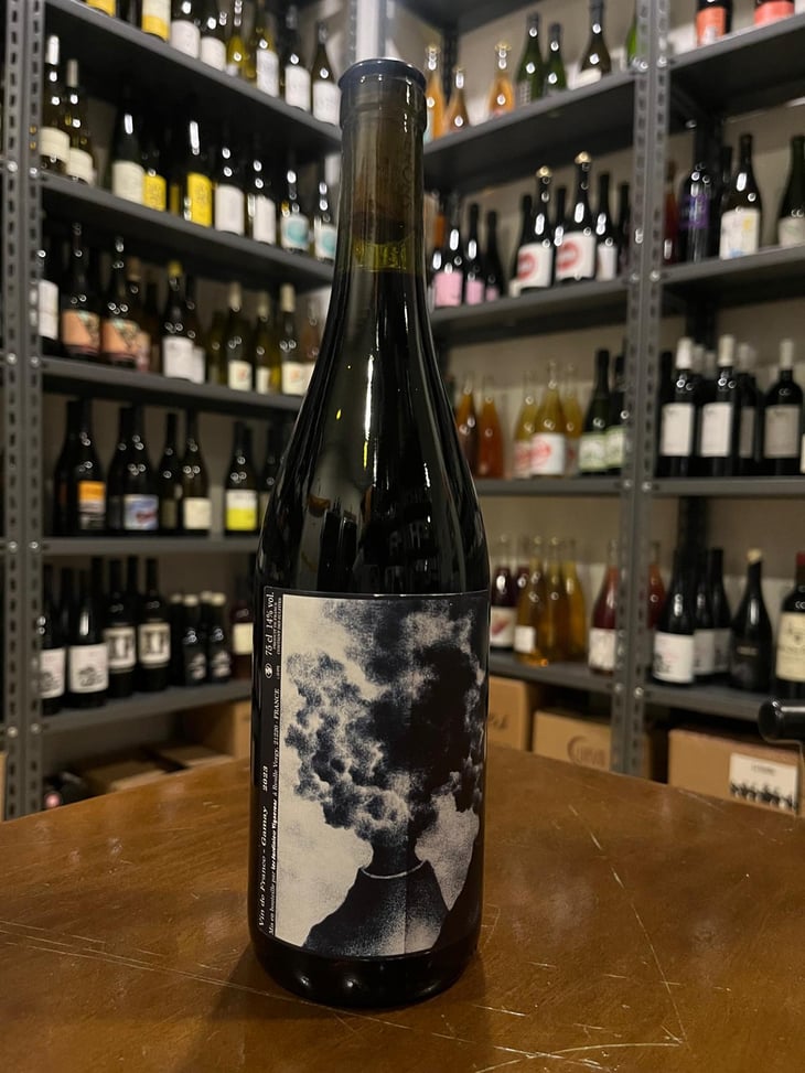 Gamay - Les Jardiniers Vignerons - Benjamin Lopez & Renaud Buret -2022