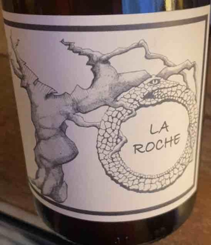 Gamay Aunis - Jean-Christophe Garnier - Jean-Christophe Garnier 