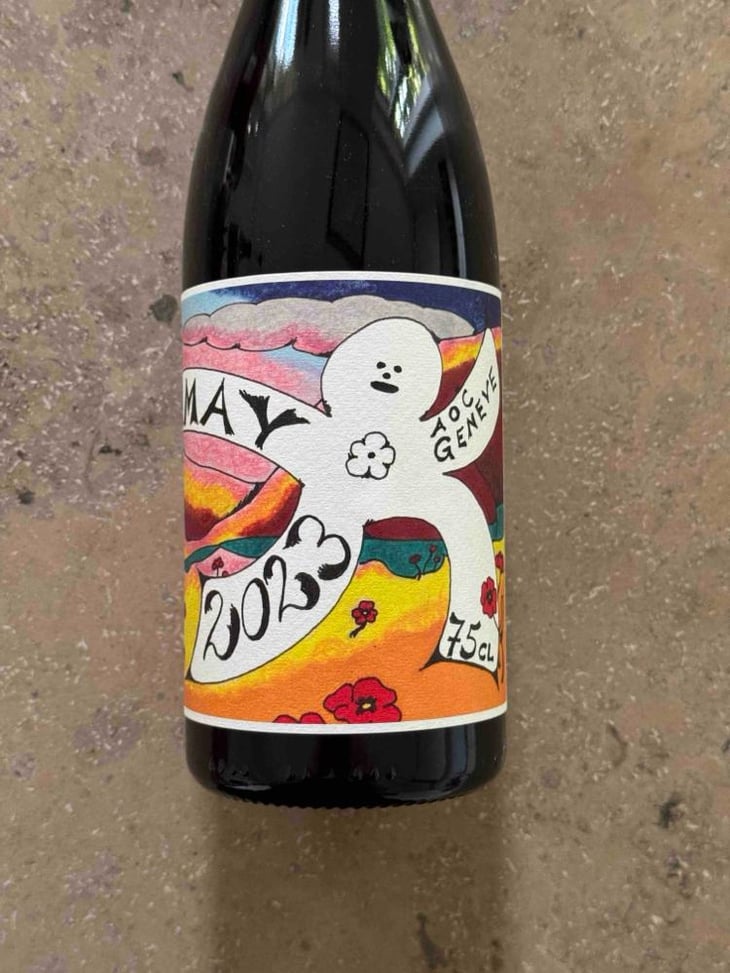 Gamay - Domaine des Allues - Damien Schaller 