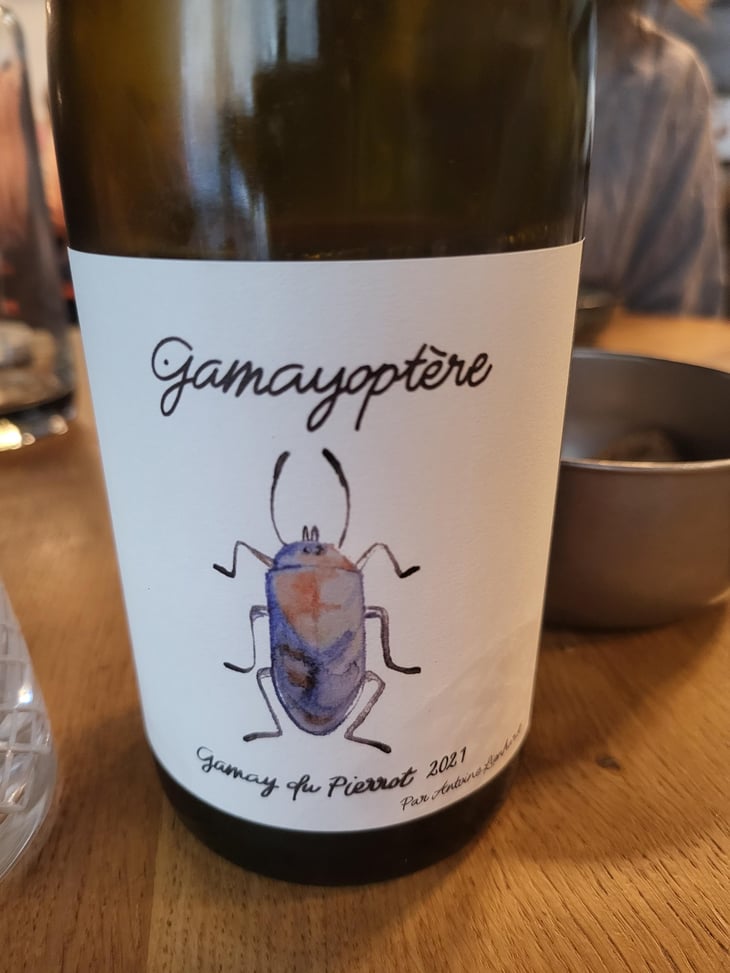 Gamayoptère - Antoine Lienhardt - Antoine Lienhardt 