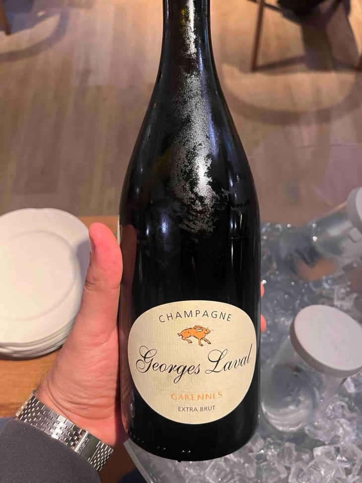 Garennes Extra Brut - Champagne Georges Laval - Mathilde et Vincent Laval 