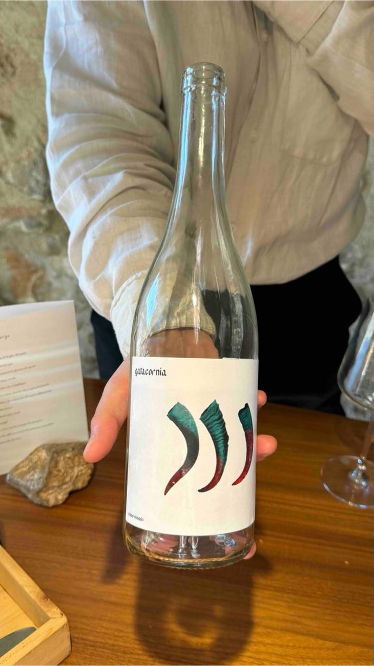 Gatacornia - Mädèr Vino - Giuseppe Locatelli 
