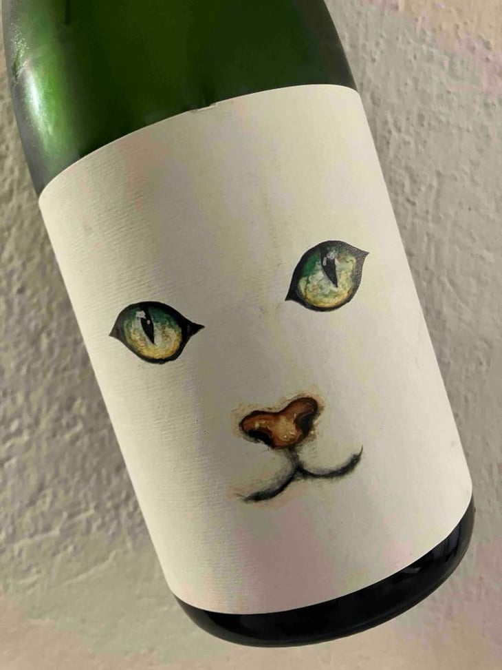 Gato - Mas guallar - Camila Opazo -2023
