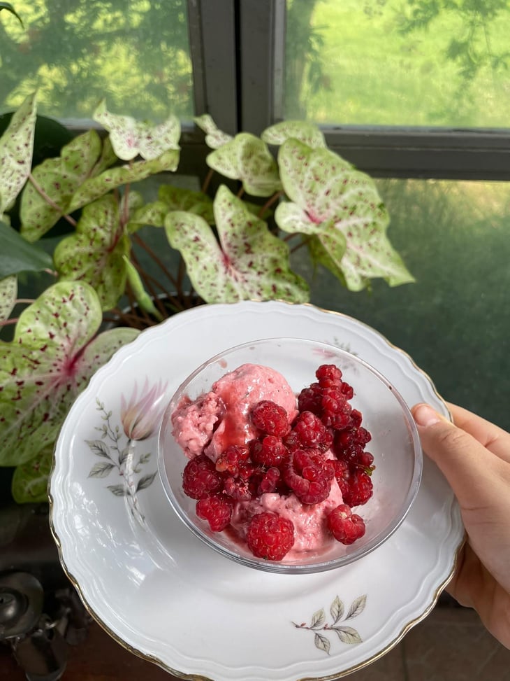 Gelato - Cascina Trapella - 1373257