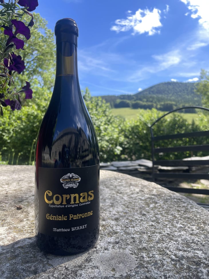Géniale Patronne - Domaine du Coulet - Matthieu Barret 