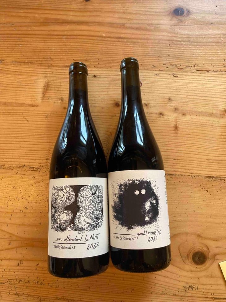 Gentil Monstre - Domaine Etienne Seignovert - Etienne Seignovert 