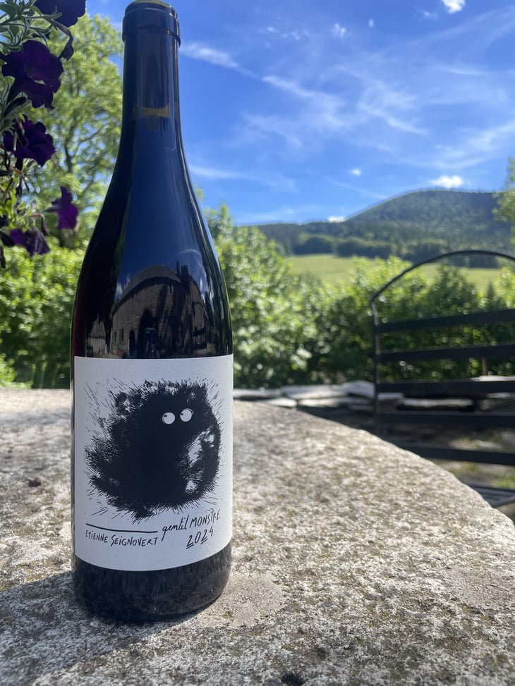 Gentil Monstre - Domaine Etienne Seignovert - Etienne Seignovert 