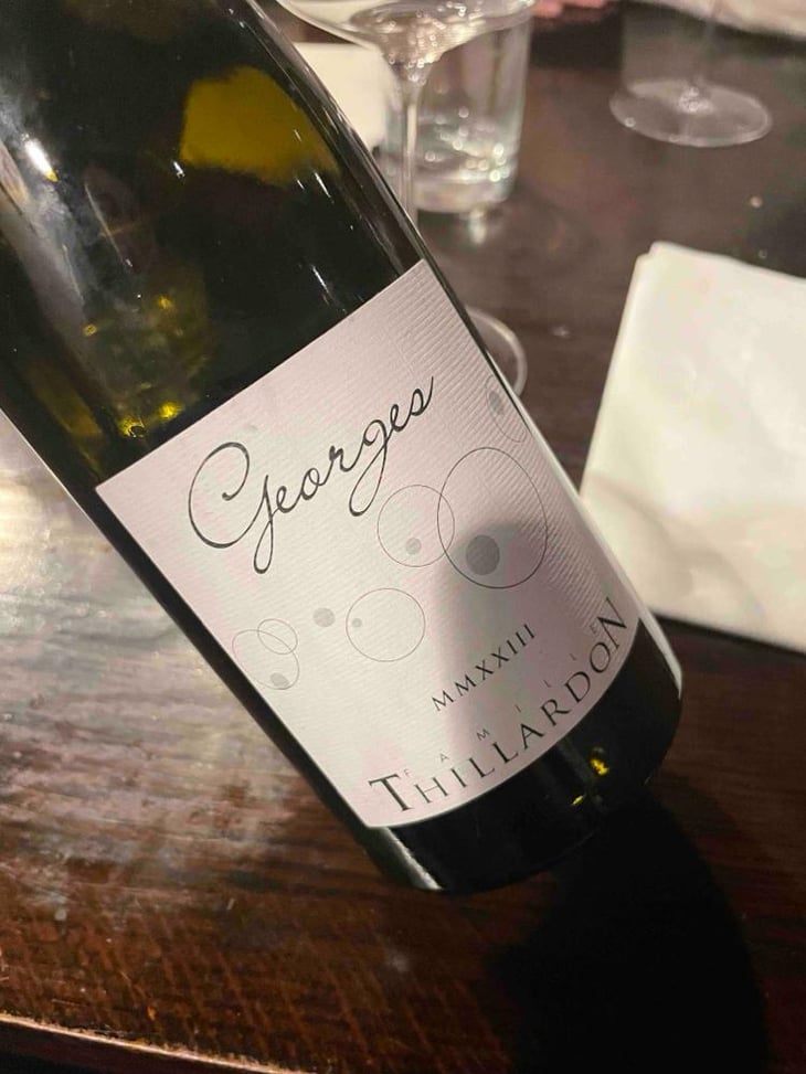 Georges - Domaine Thillardon - Aude, Jean-Baptiste, Charles et Paul-Henri Thillardon -2020