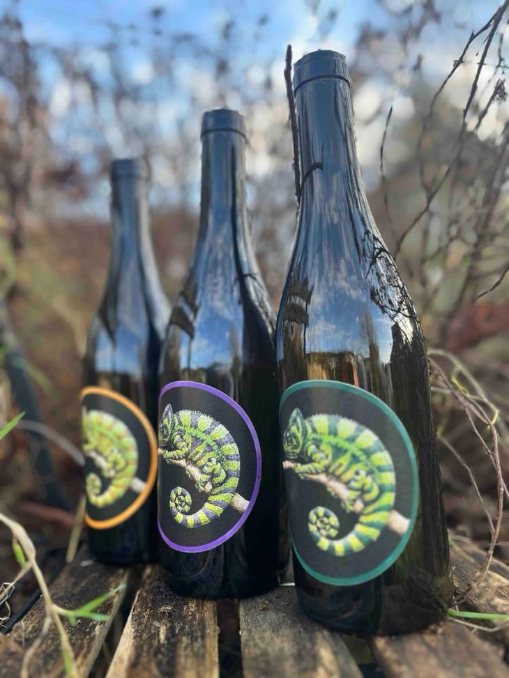 Grauburgunder - Chamäleon-Wein Konrad - Nora Konrad 