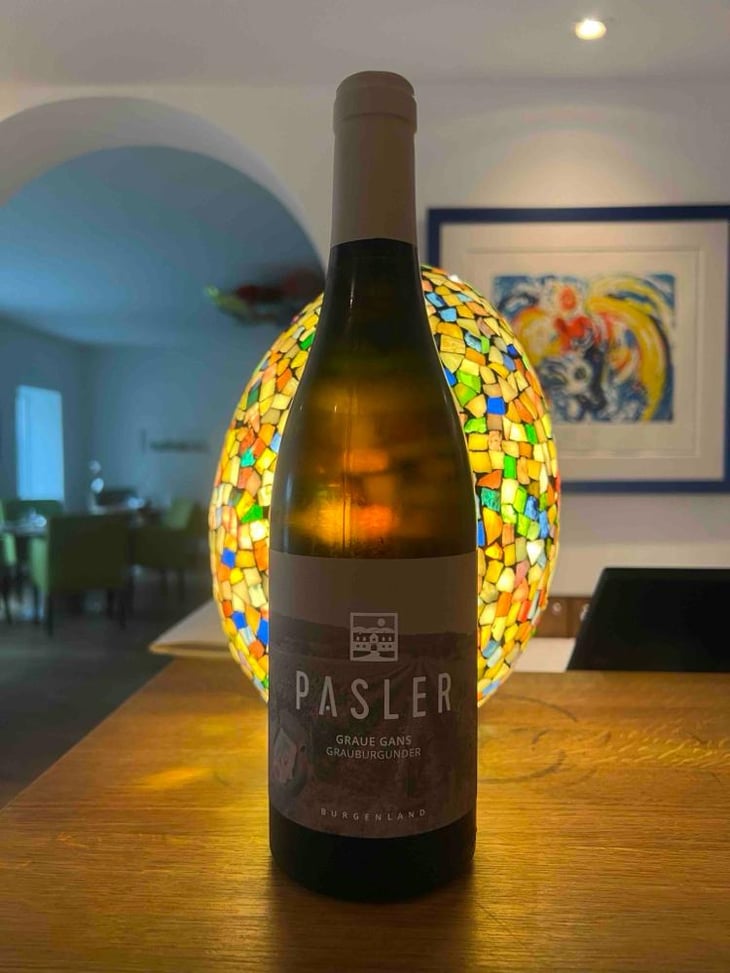 Graue Gans - Pasler - Franz Pasler -2025