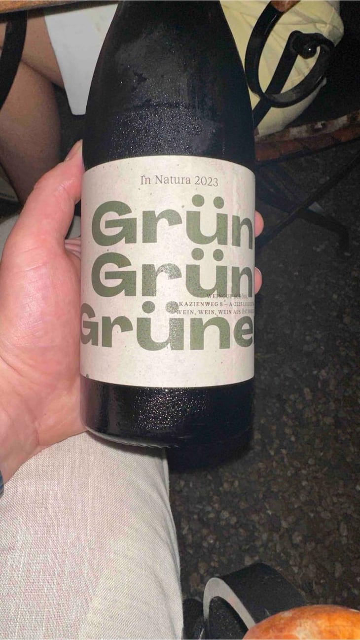 Grün Grün Grüner - Weingut Schödl Family - Mathias, Viktoria & Leonhard Schödl -2024