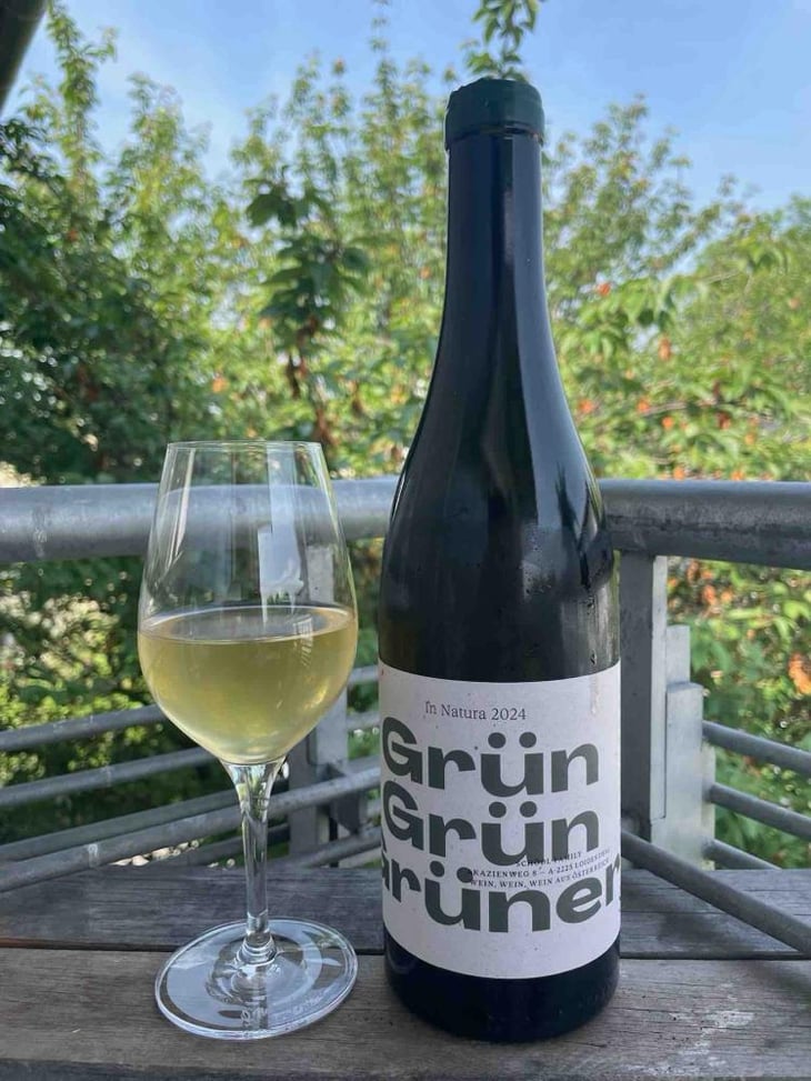 Grün Grün Grüner - Weingut Schödl Family - Mathias, Viktoria & Leonhard Schödl -2024