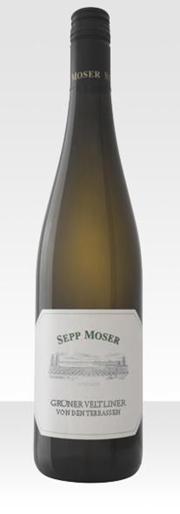 Grüner Veltliner von den Terrassen - Vitikultur MOSER - Familie Moser 