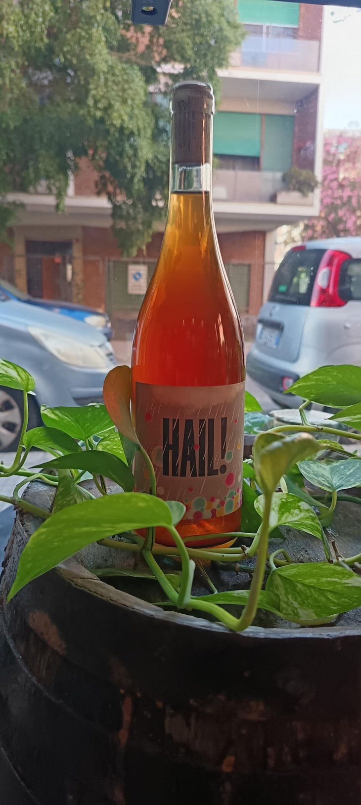 Hail! - Tenuta Vincenzo Nardone - Nicola Nardone -2022