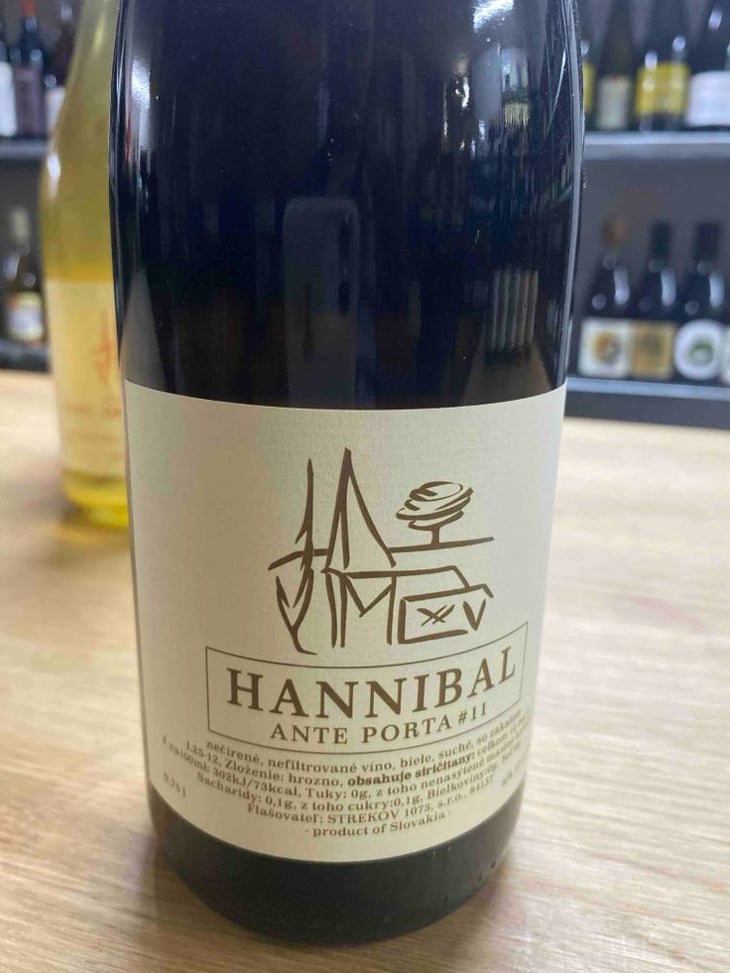 Hannibal Ante Porta #11