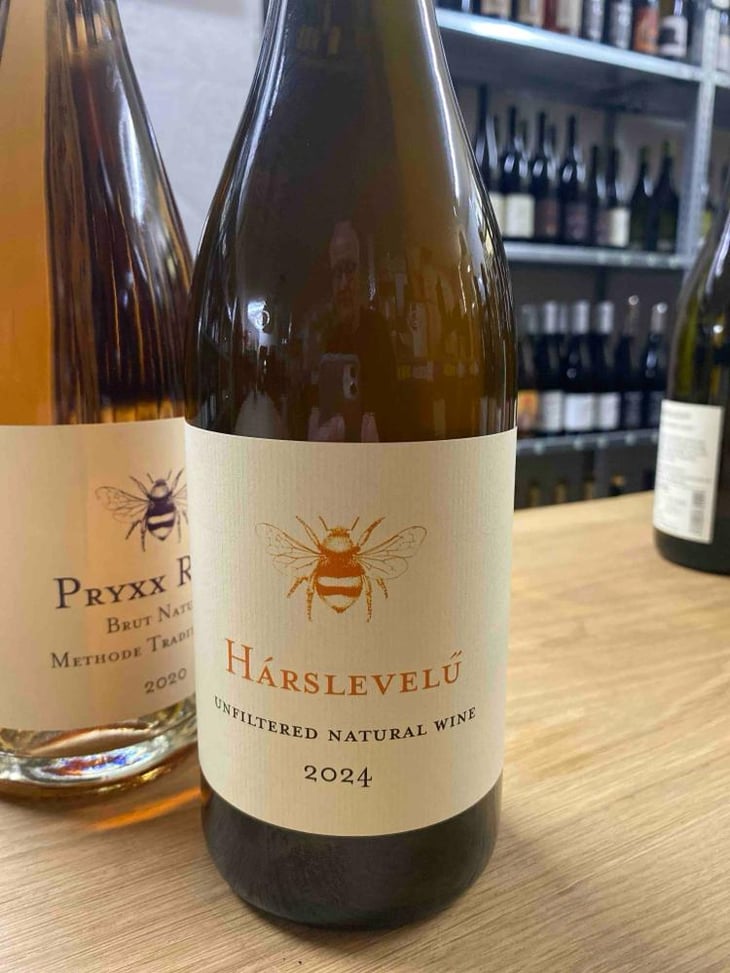 Hárslevelú - Hummel Pincészet - Weingut Hummel - Horst Hummel 