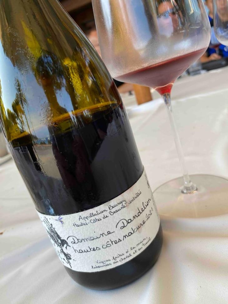 Hautes Côtes Nature - Domaine Dandelion - Morgane Seuillot & Christian Knott 