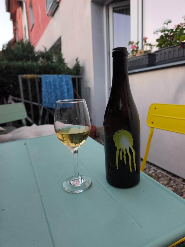 Hedonista - Milan Nestarec - Milan Nestarec 