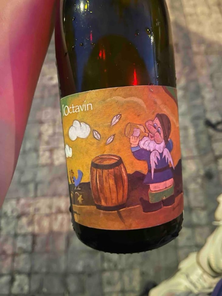 Hip Hip J...(Savagnin) - Domaine de l'Octavin - Alice Bouvot -2023