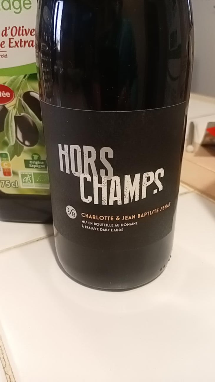 Hors Champs - Jean-Baptiste Senat - Charlotte & Jean-Baptiste Senat 