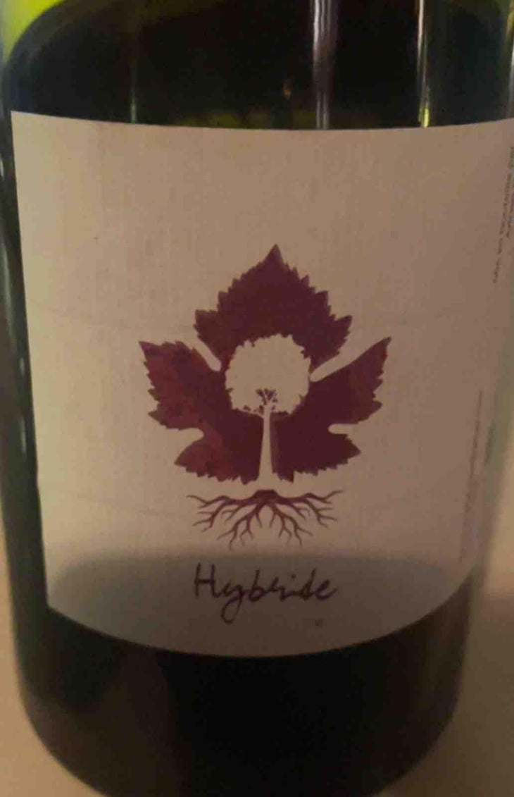Hybride - Domaine De La Futaie - Adrien Delval -2023