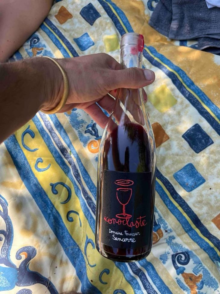 Iconoclaste - Francia - Domaine Foussier 