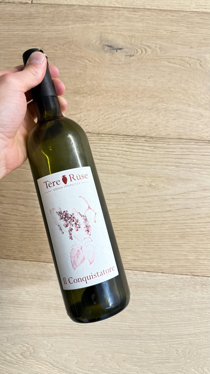 Il Conquistatore - Azienda Vitivinicola Tère Rüse - Gregorio 