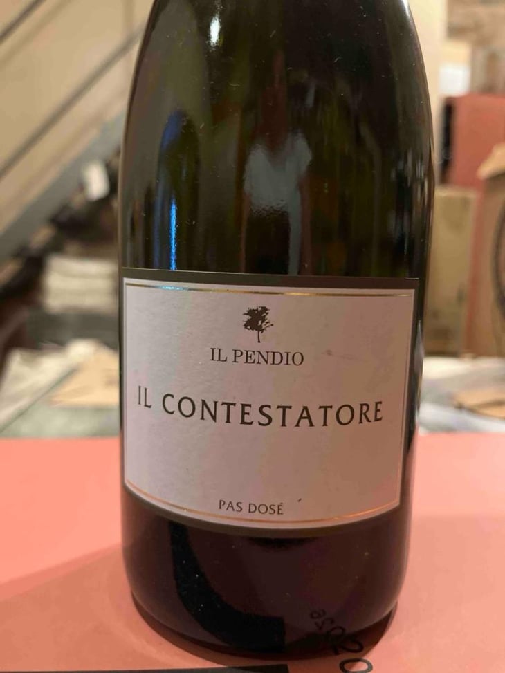 Il Contestatore - Il Pendio - Michele Loda 