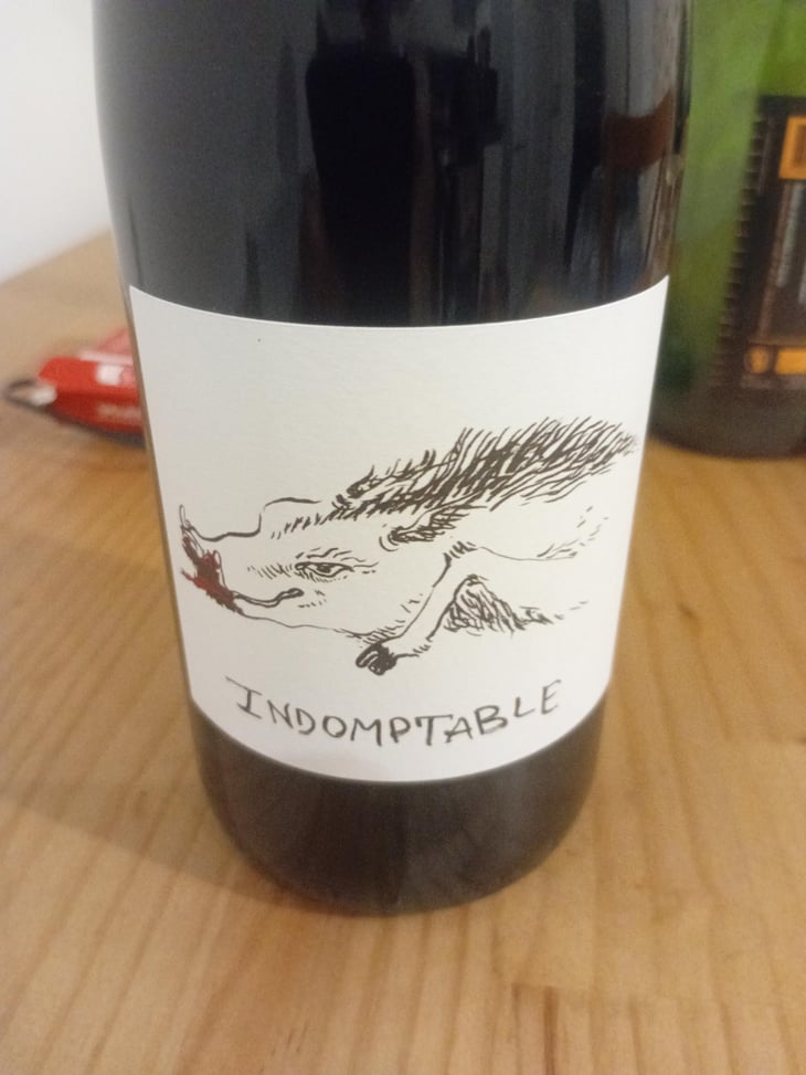 Indomptable - Domaine des 2 Fauves - Laura Soldan & Charles Henri Quantin 