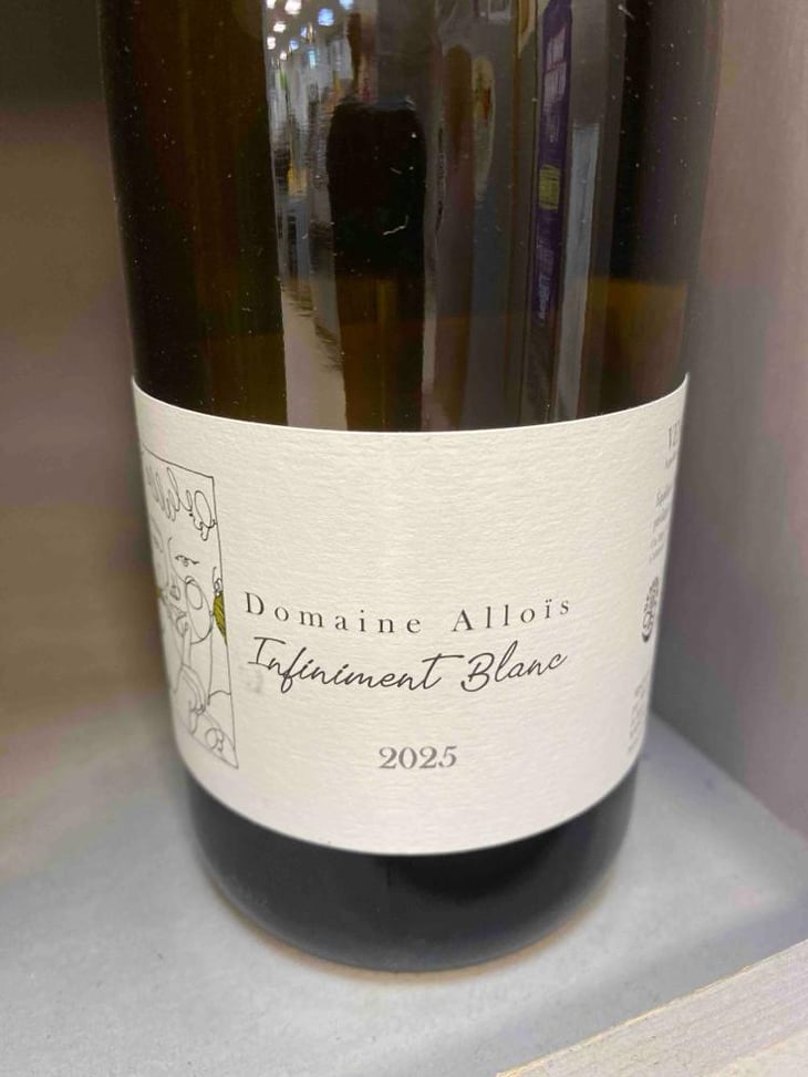 Infiniment Blanc - Domaine Alloïs - François Busi -2023