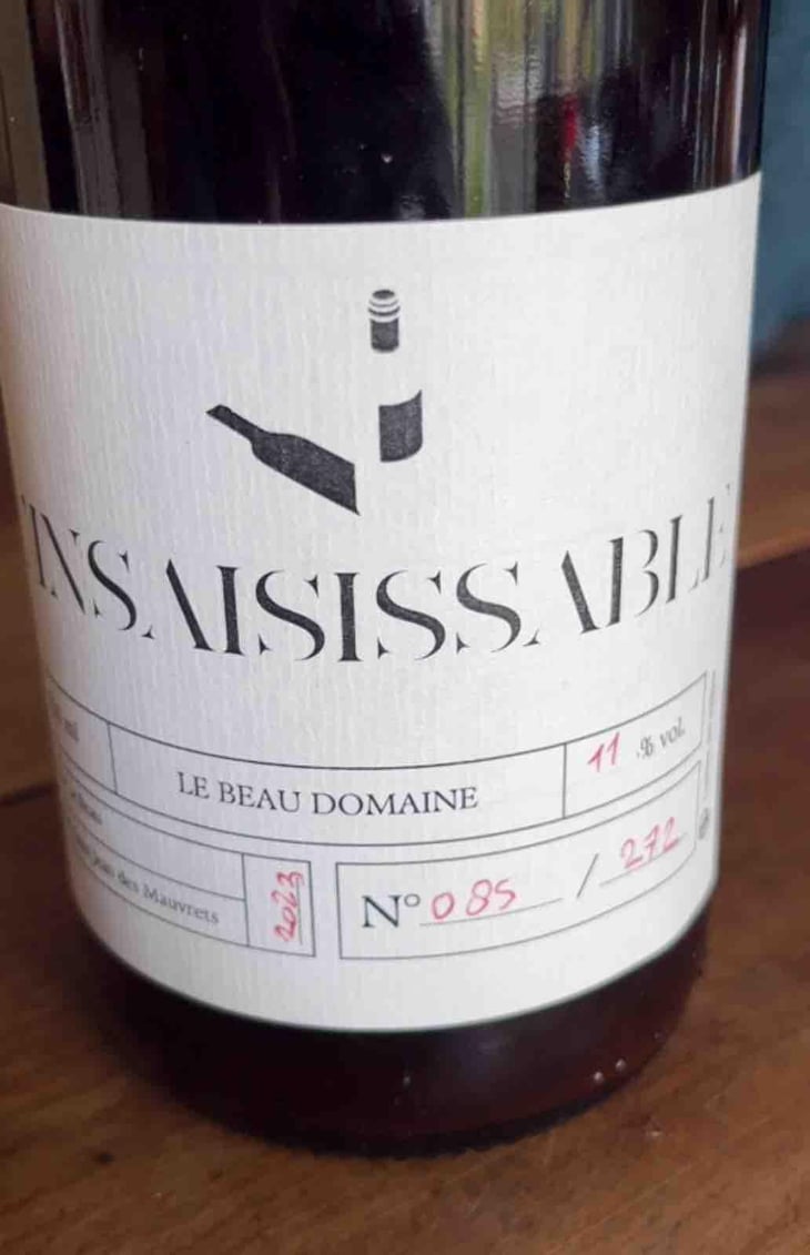 Insaisissable - Le beau domaine - Olivier Le Beau -2023
