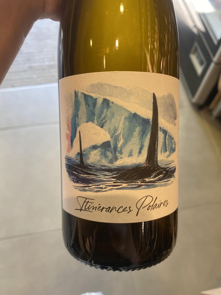 Itinérance Polaires - Domaine des Albatros - Julien Cartier 