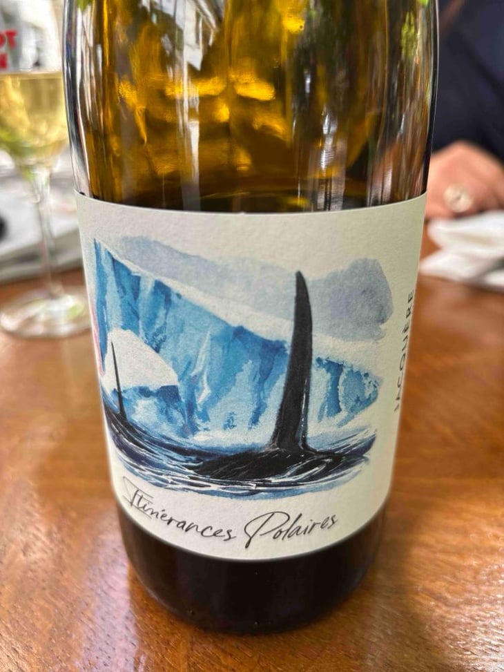 Itinérance Polaires - Domaine des Albatros - Julien Cartier 