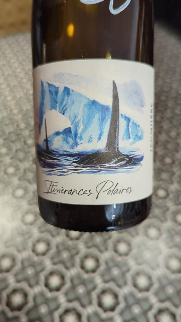 Itinérance Polaires - Domaine des Albatros - Julien Cartier 