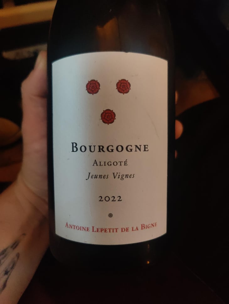 Jeunes vignes - Antoine leoetit de la bigne - Antonine leoetit se la bigne -2022