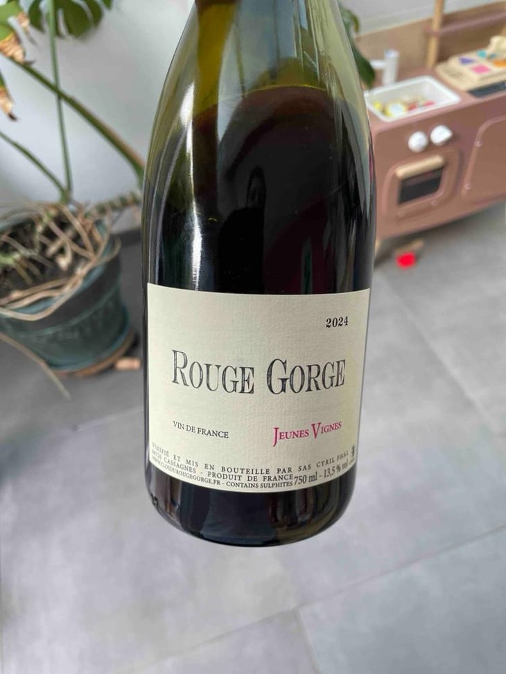 Jeunes Vignes - Clos du Rouge Gorge - Cyril Fhal 