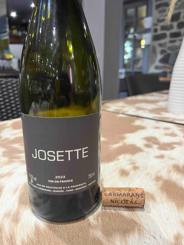 Josette - Nicolas Carmarans - Nicolas Carmarans -2021