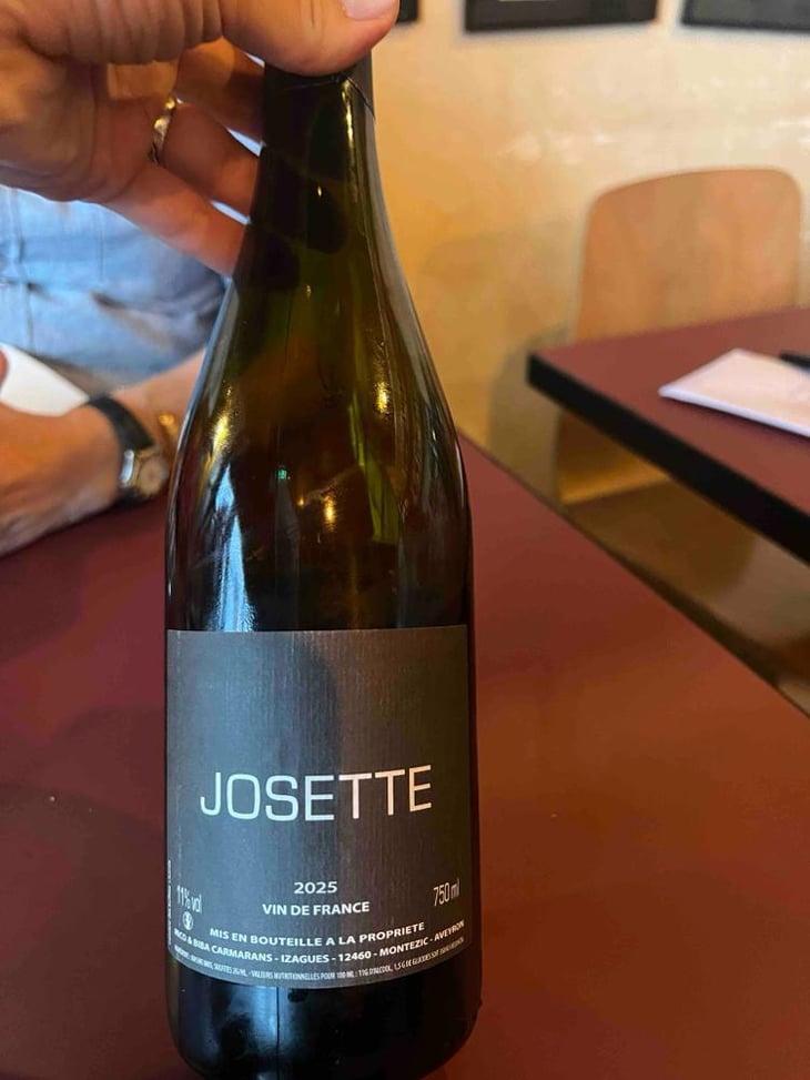 Josette - Nicolas Carmarans - Nicolas Carmarans -2021