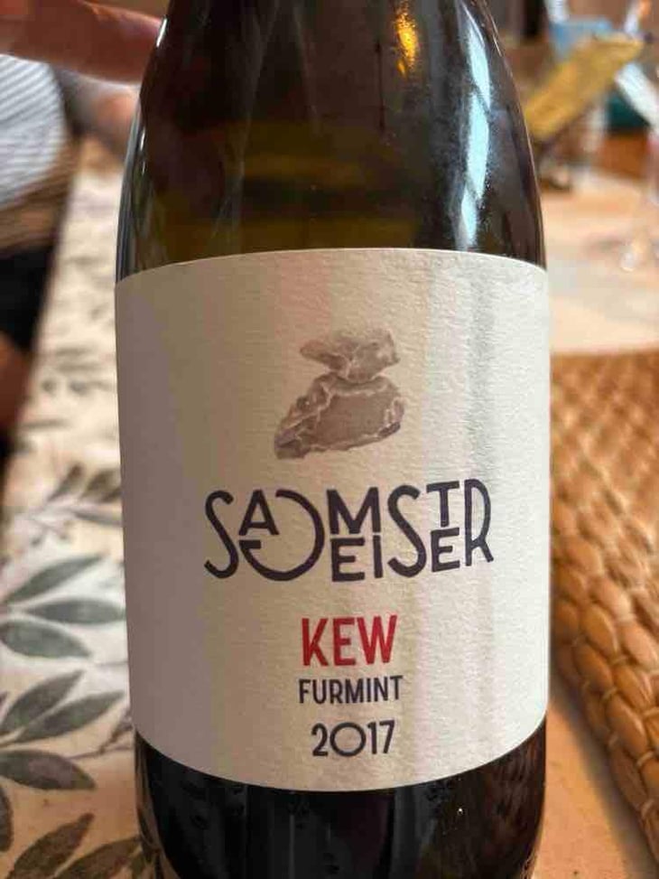 Kanias Furmint - Vino Sagmeister Bor - Ernő Sagmeister -2019