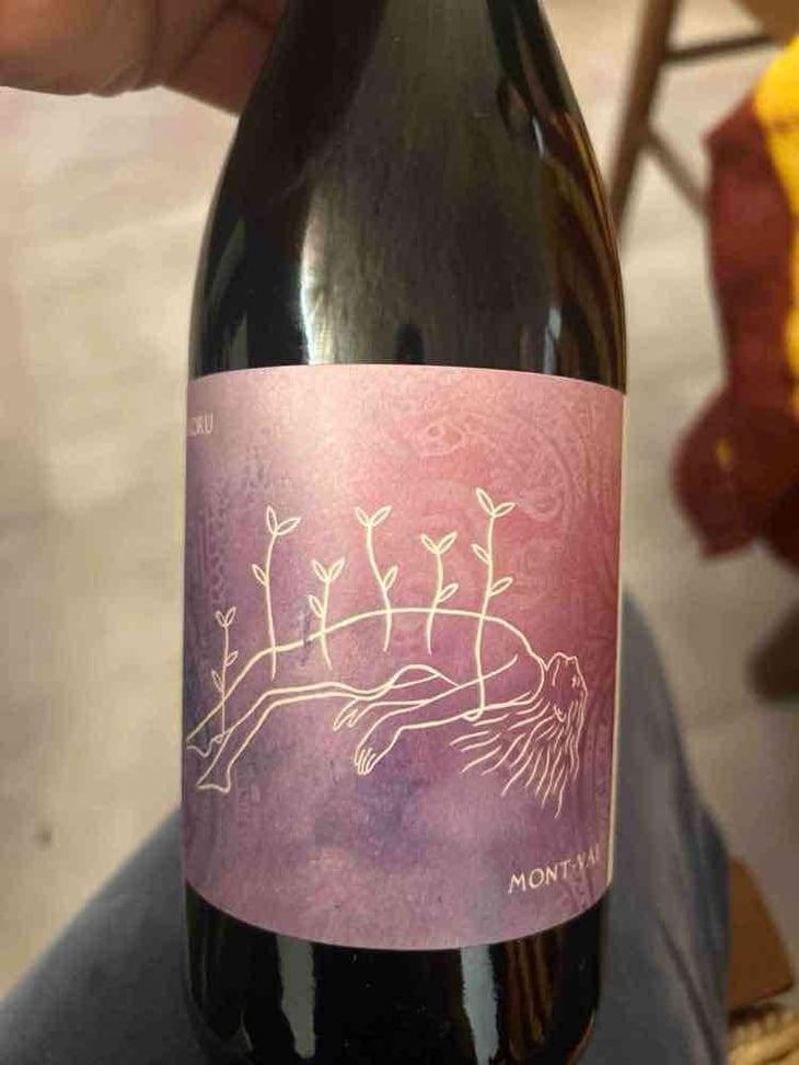 Koru - Les Vins De Mont-Val - Sophie Valançant & Jean-Yves Domont -2023
