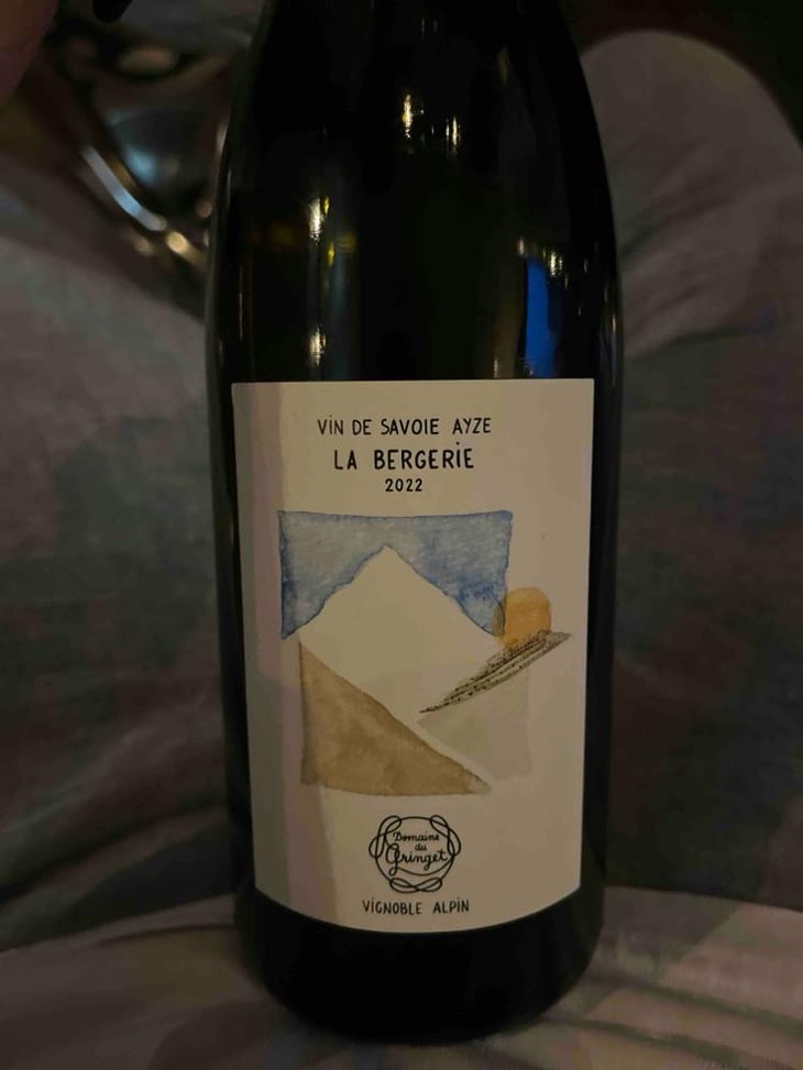 La Bergerie - Domaine du Gringet - Vincent Ruiz & Franck Balthazar 