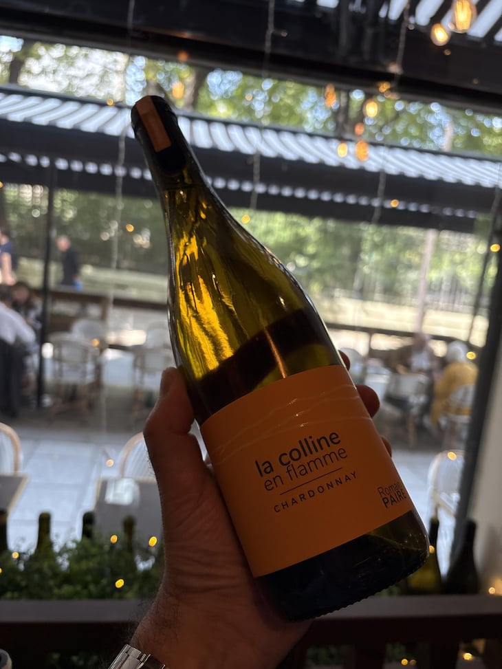 La Colline En Flamme - Domaine des Pothiers - Denise, Georges & Romain Paire 
