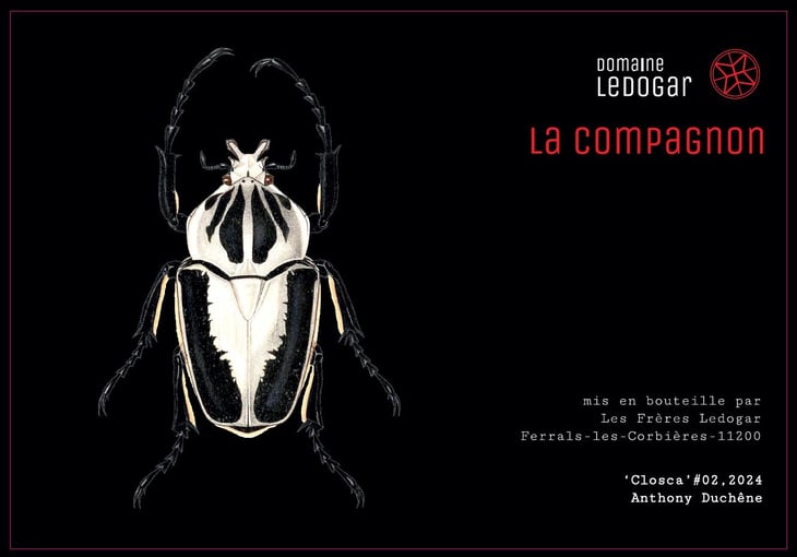 La Compagnon - Domaine Ledogar - Xavier, Mathieu & Benoît Ledogar 