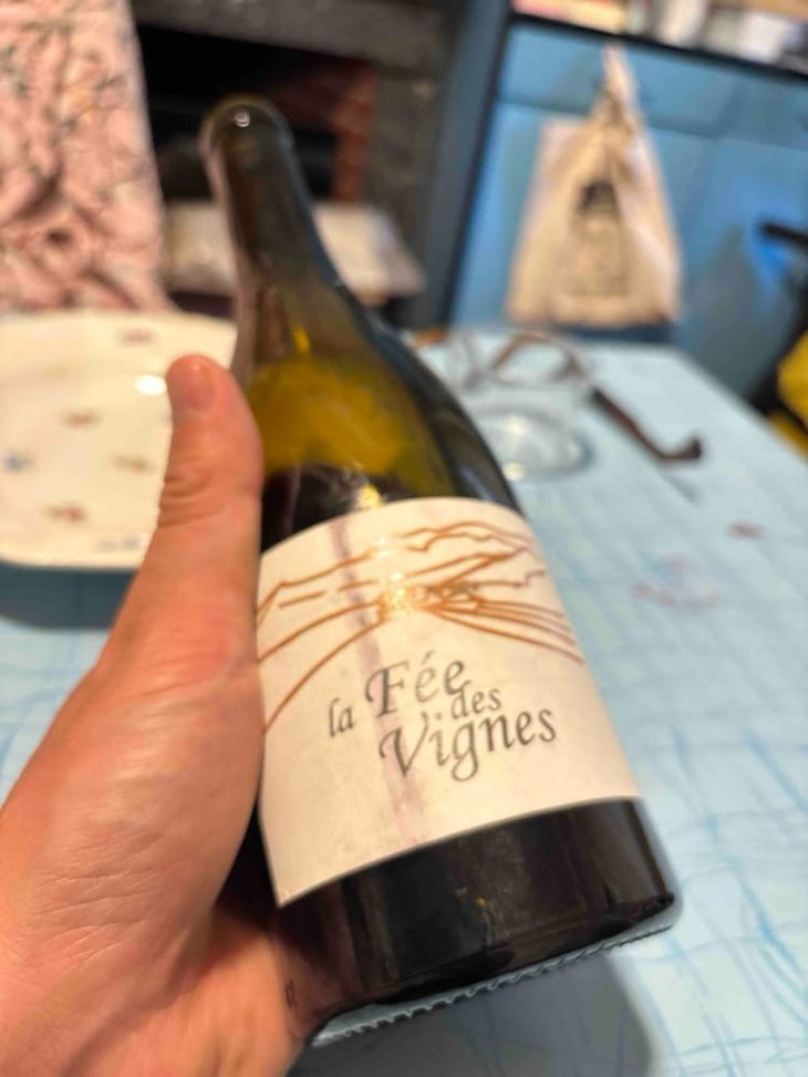 La Fée des Vignes - Clos des Cimes - Elodie Aubert 