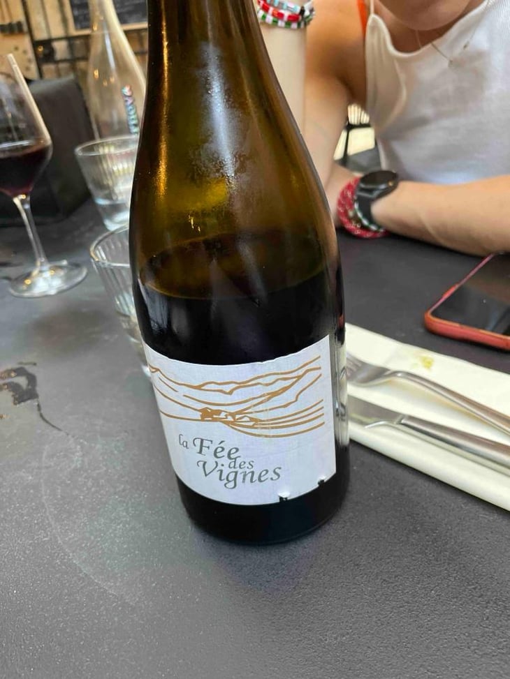 La Fée des Vignes - Clos des Cimes - Elodie Aubert 